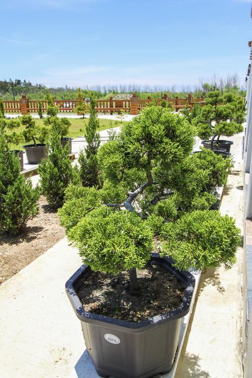 Long Xing B&B Huxi Екстер'єр фото